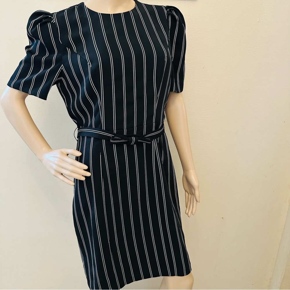 Express Black and White Striped Mini Dress